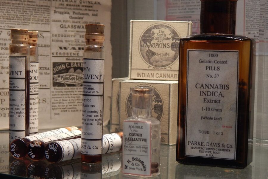 AEMPS activa el registro de preparados de cannabis medicinal