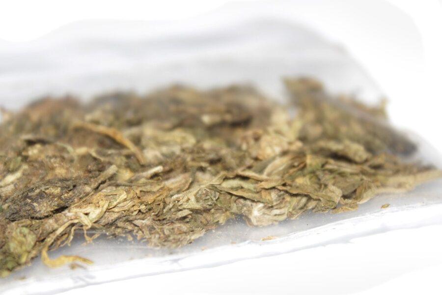 Canadá actualiza su guía sobre cannabinoides intoxicantes