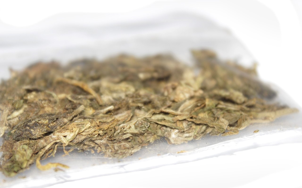 Canadá actualiza su guía sobre cannabinoides intoxicantes
