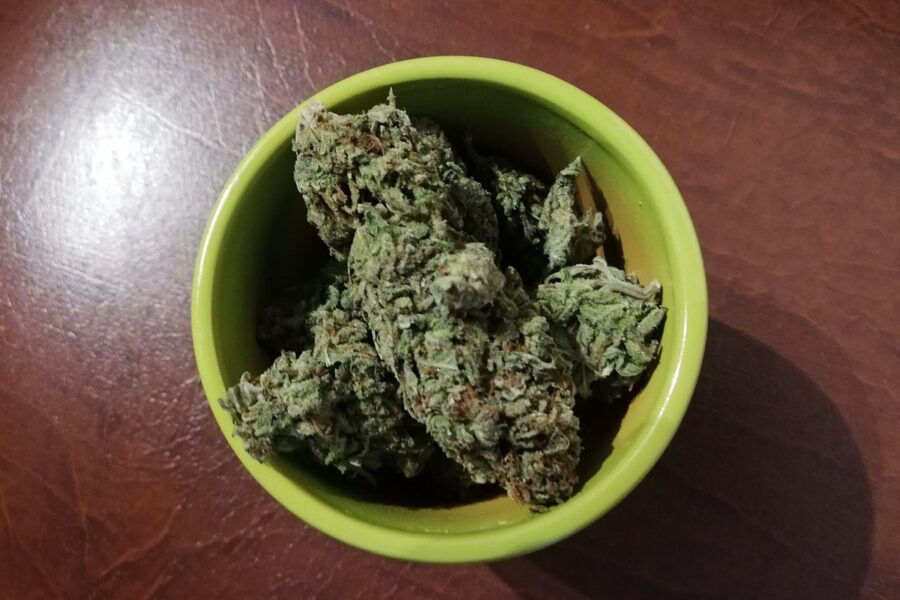 Kentucky abre consulta para ampliar el acceso al cannabis médico