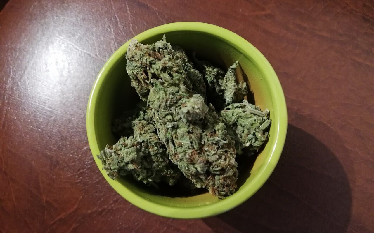 Kentucky abre consulta para ampliar el acceso al cannabis médico