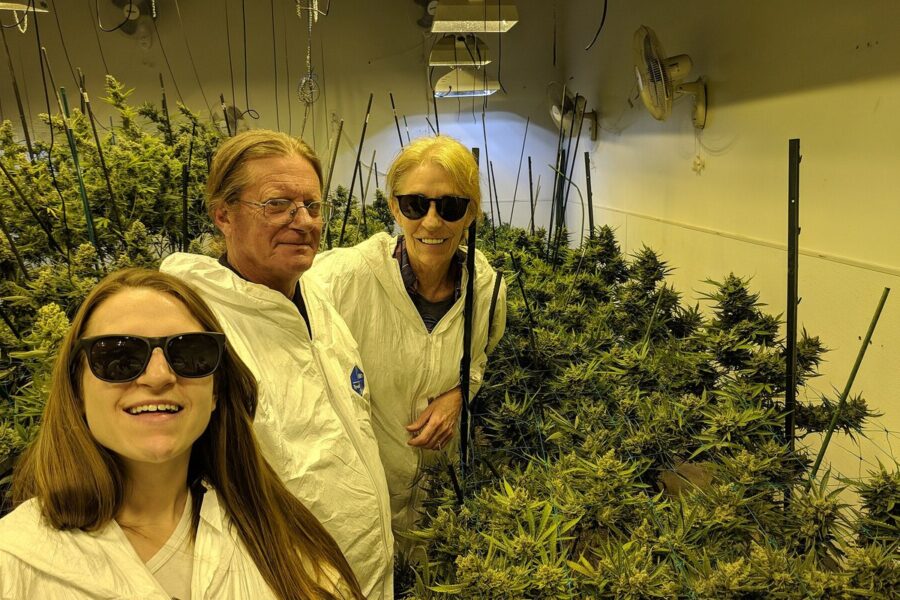 Landrace cannábicas: valor genético, cultura y conservación
