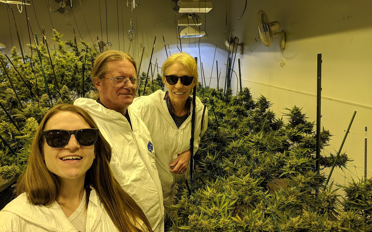 Landrace cannábicas: valor genético, cultura y conservación