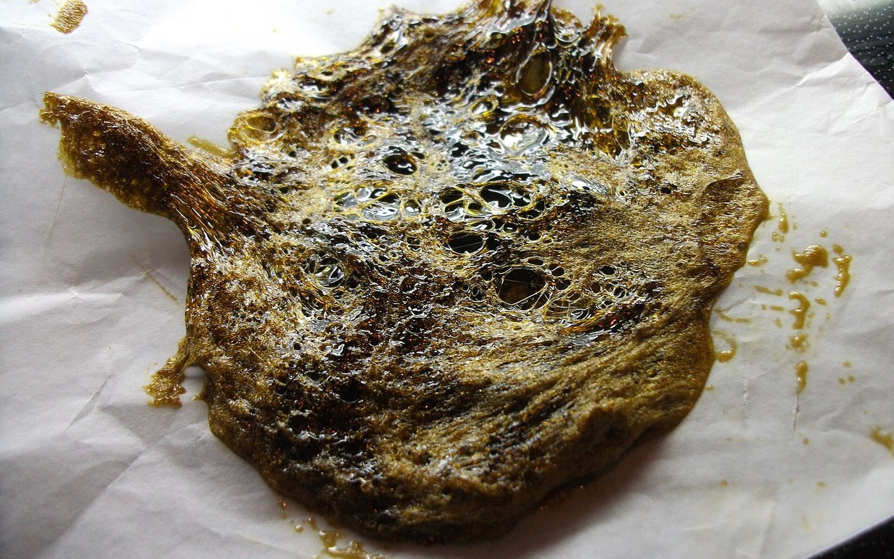 Rosin: extracción sin disolventes y cultura de la calidad