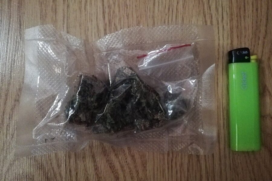 Sanidad defiende cannabis medicinal con control clínico
