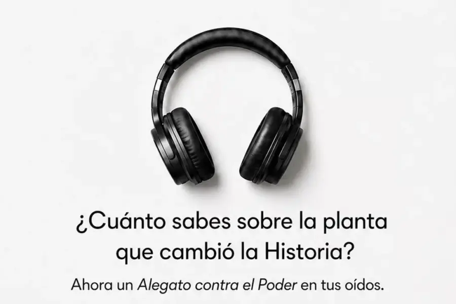 «Marihuana, la flor del cáñamo»: el audiolibro con el que Daniel Vidart interroga al poder