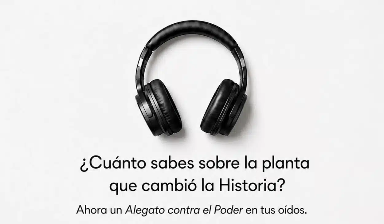 Marihuana, la flor del cáñamo: audiolibro de Daniel Vidart