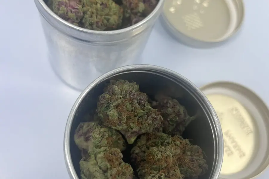 Australia muestra el riesgo de regular cannabis medicinal sin límites claros