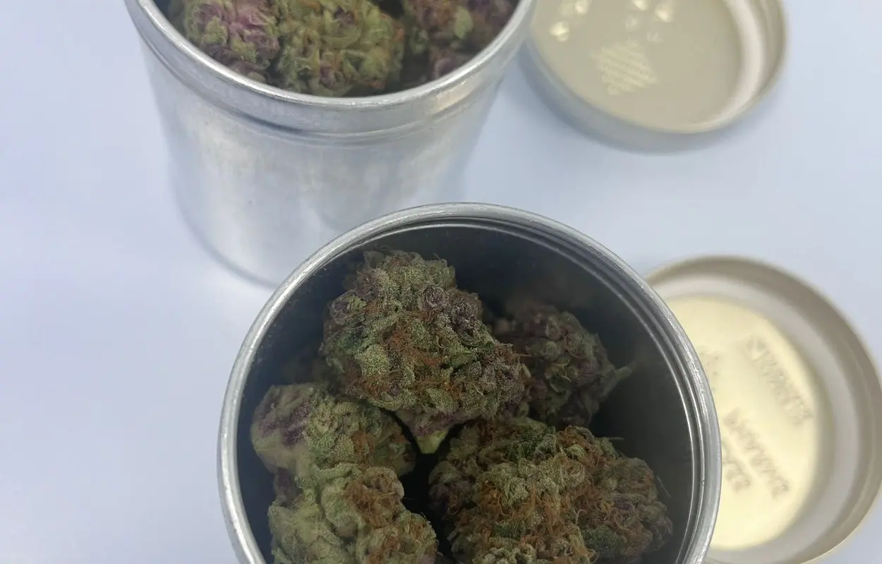 Australia muestra el riesgo de regular cannabis medicinal sin límites claros