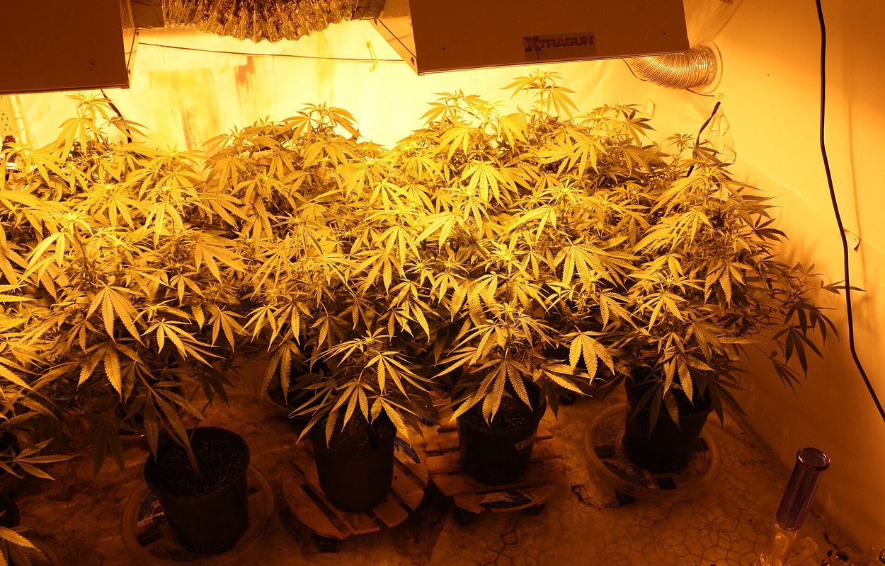 España sigue infradiagnosticando el síndrome de hiperémesis cannabinoide