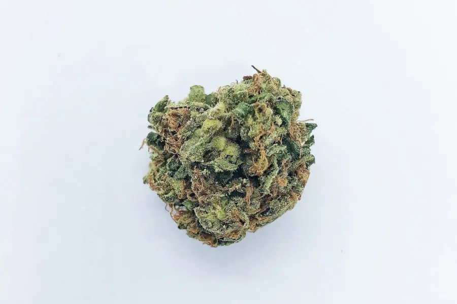 Un estudio en Atención Primaria detecta cannabis reciente en casi uno de cada cuatro adultos