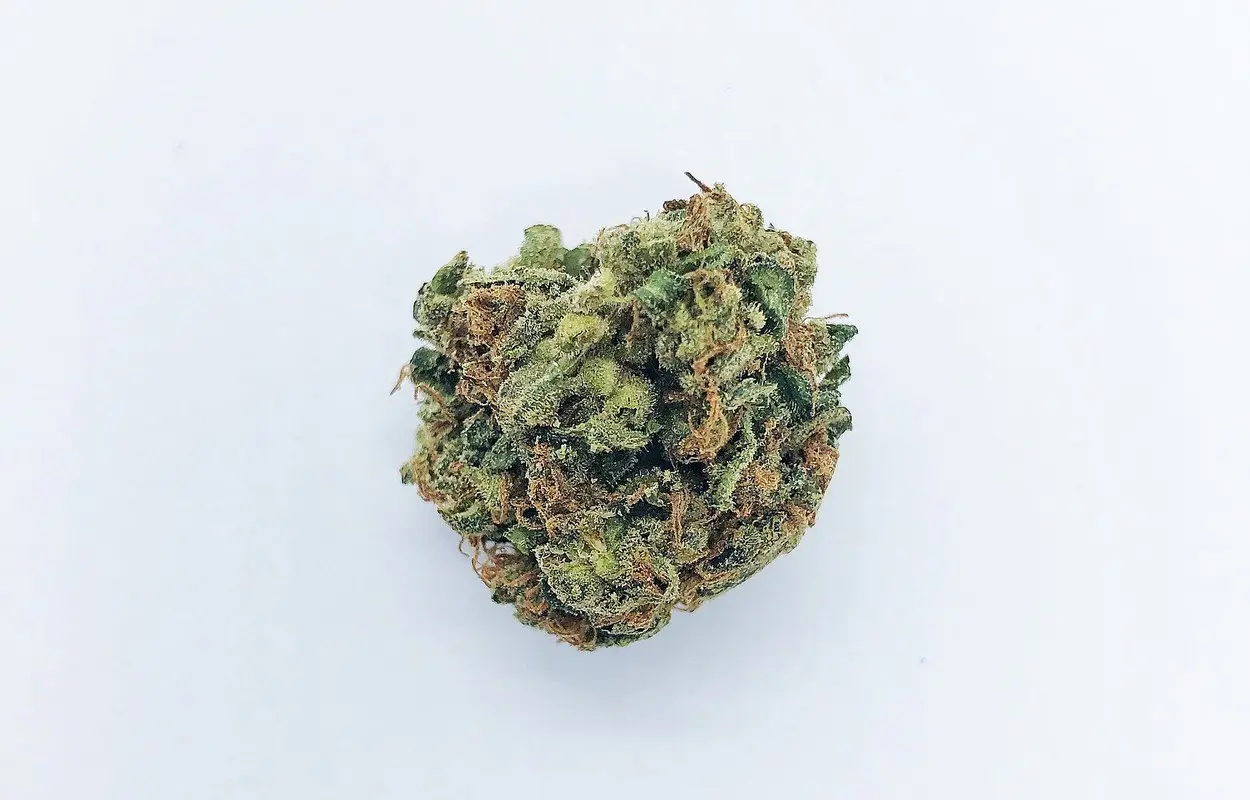 Un estudio en Atención Primaria detecta cannabis reciente en casi uno de cada cuatro adultos