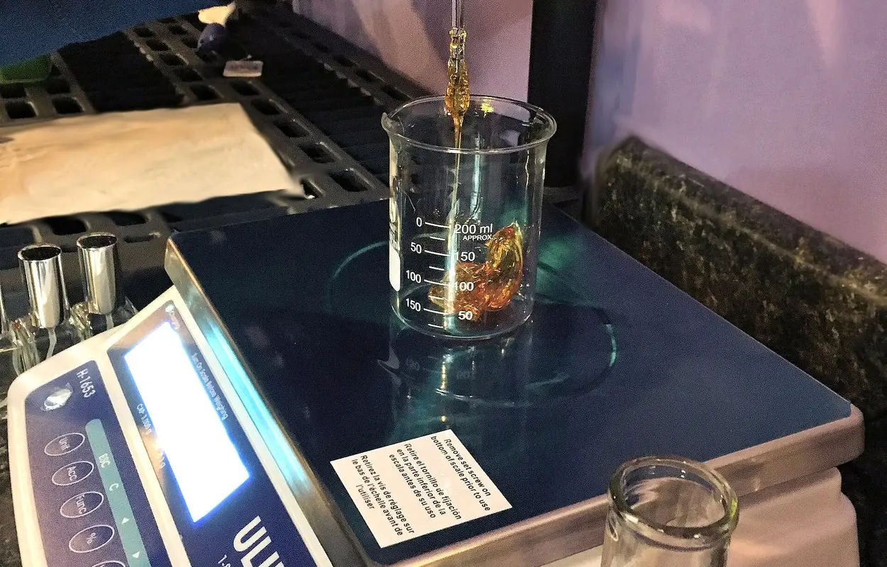Fundación CANNA alerta de contaminantes en el cannabis procesado