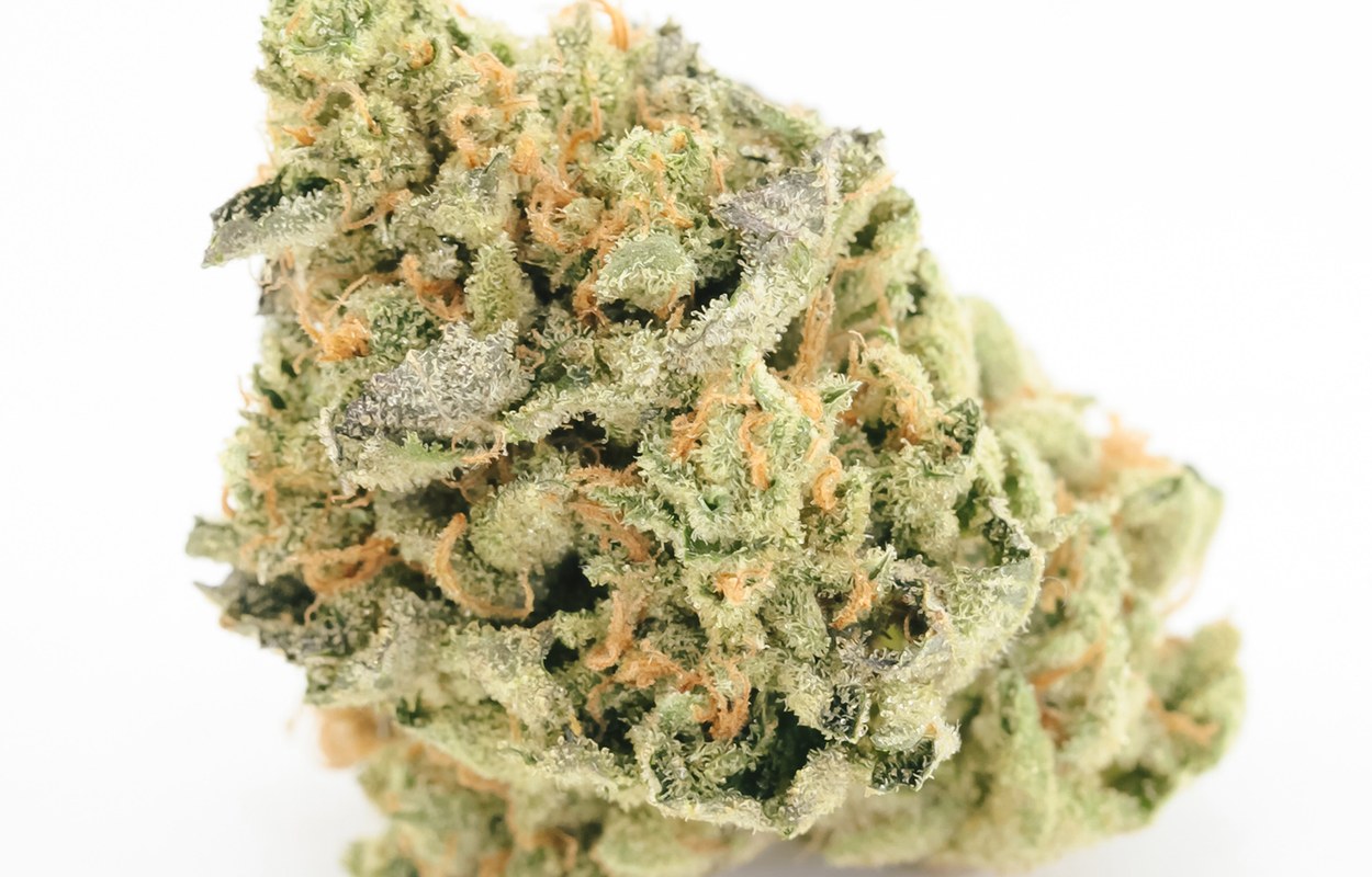 Interior mide menos plantas de cannabis incautadas, no menos mercado