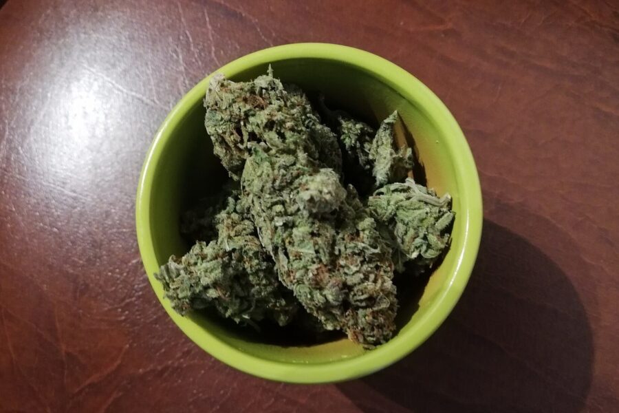 Nueva York amplía el acceso al cannabis medicinal y suma licencias