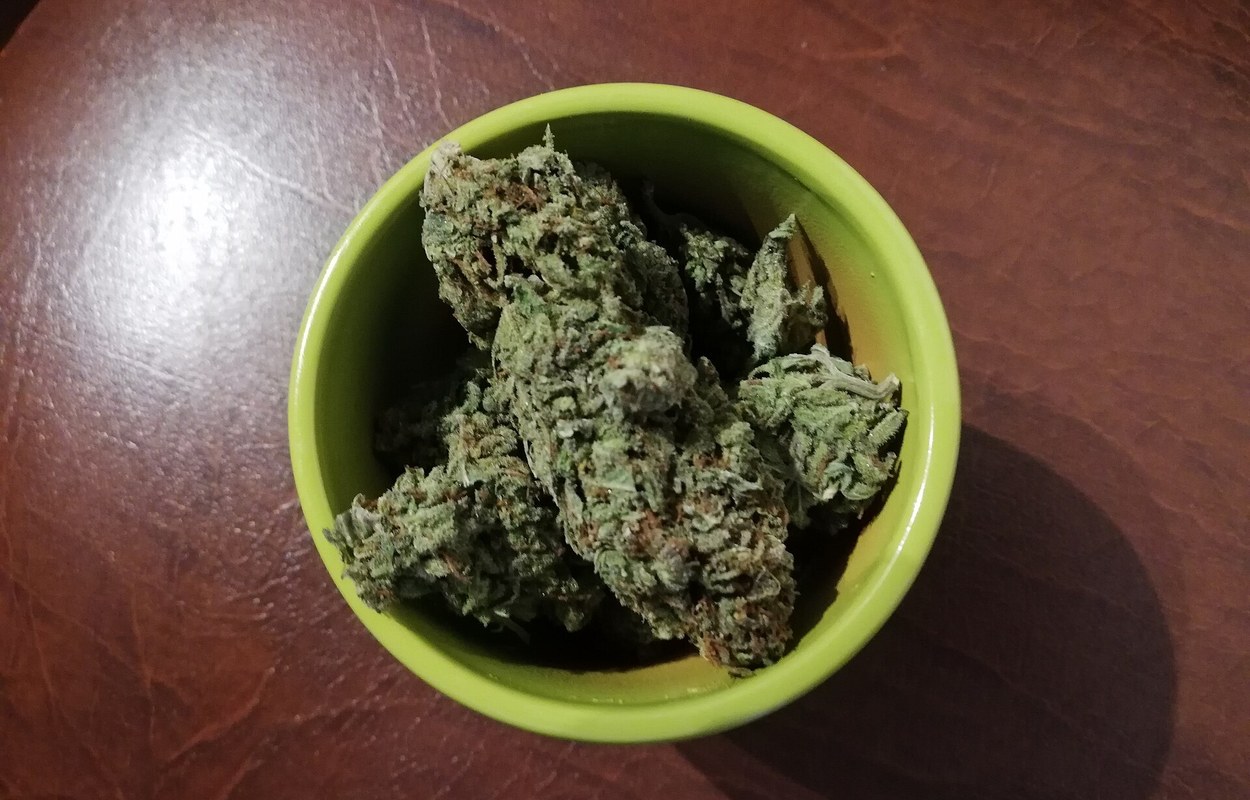 Nueva York amplía el acceso al cannabis medicinal y suma licencias