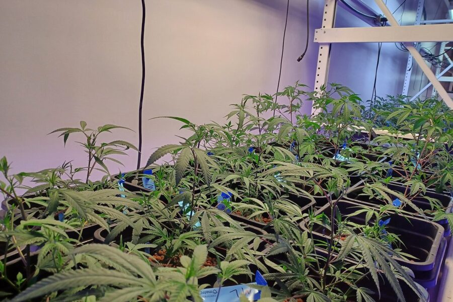 Renovar el aire del indoor sin malgastar energía