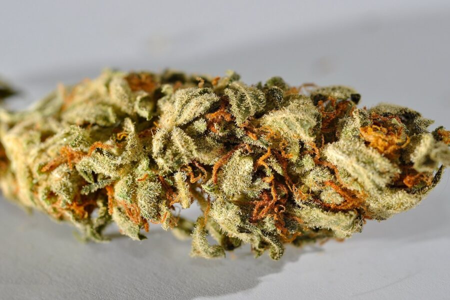 El Supremo eleva la inseguridad jurídica de las flores de CBD en España