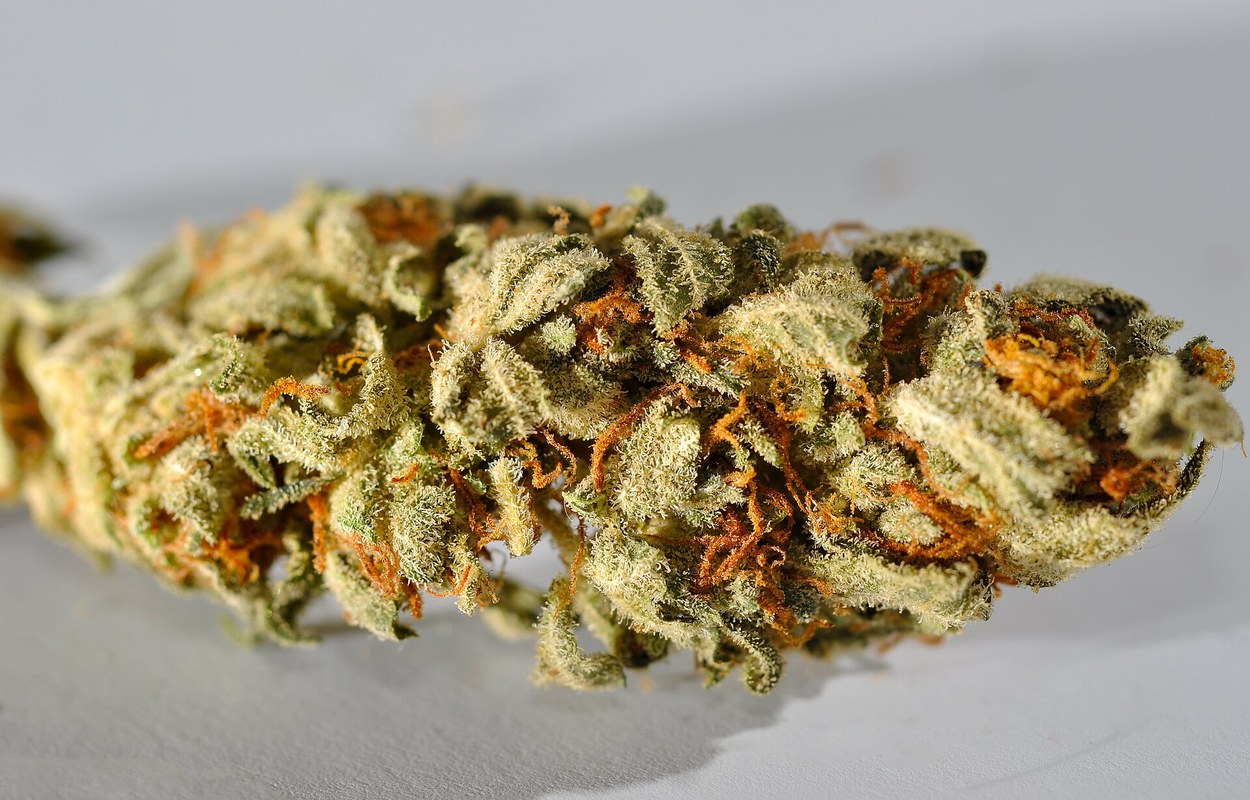 El Supremo eleva la inseguridad jurídica de las flores de CBD en España
