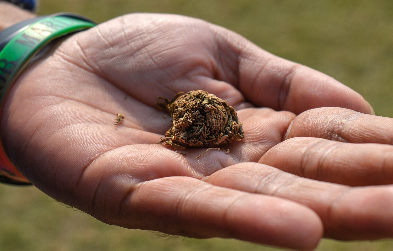 Toxicología sitúa el cannabis tras la cocaína en conductores fallecidos