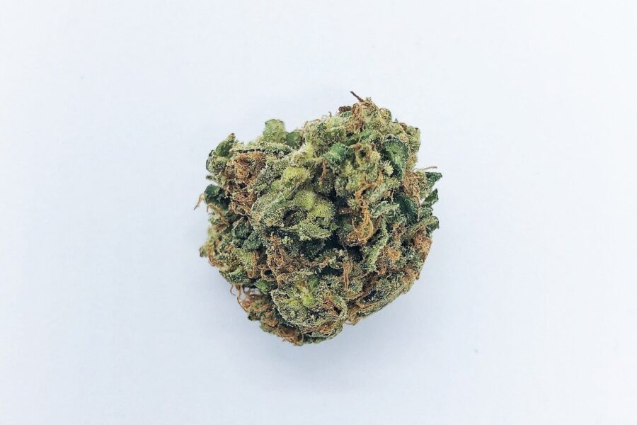 La UNODC cifra en 256 millones los usuarios de cannabis en 2024