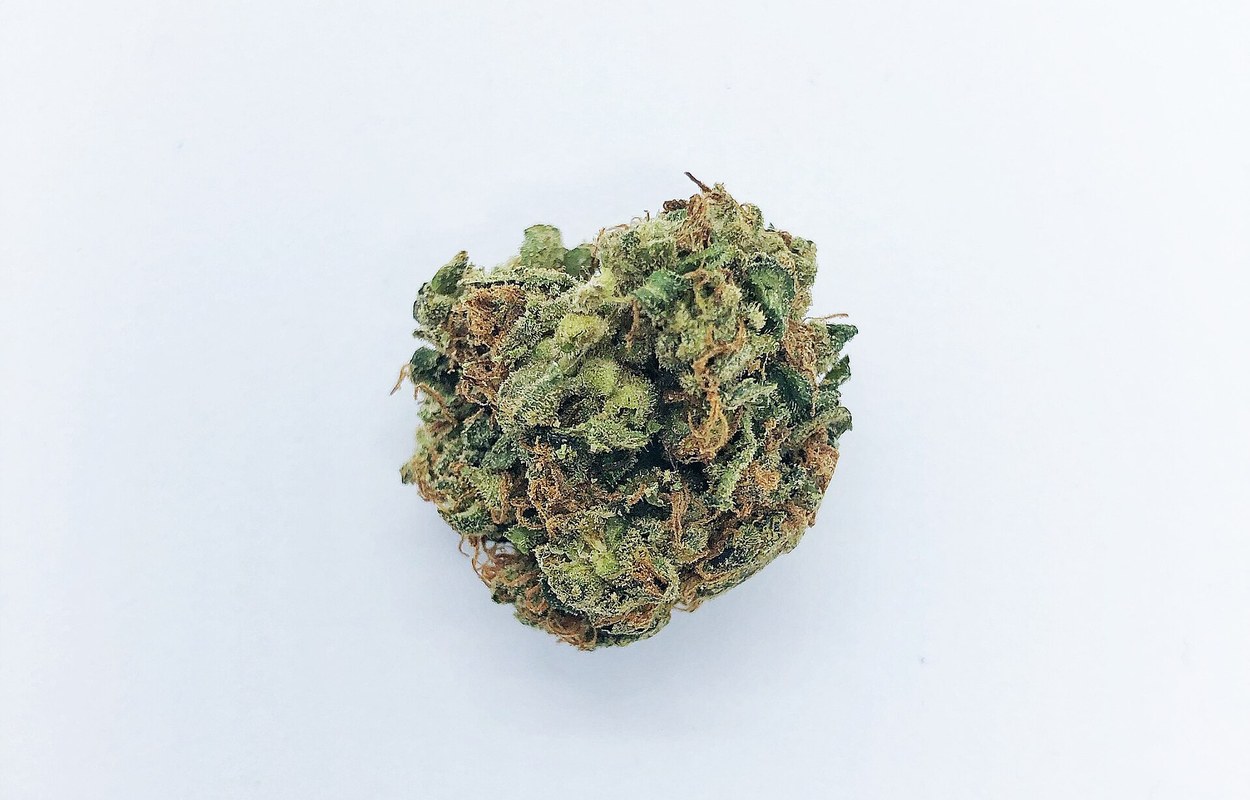 La UNODC cifra en 256 millones los usuarios de cannabis en 2024
