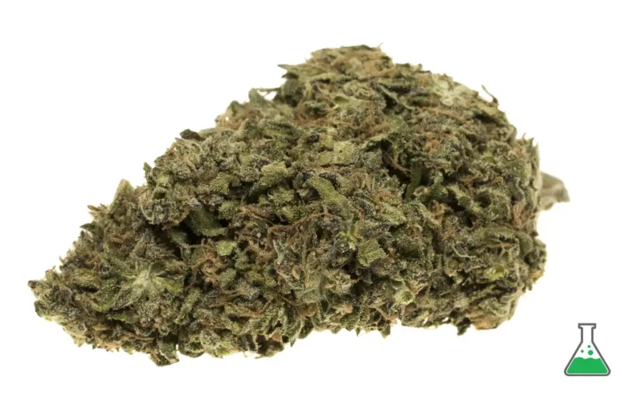 La marihuana vuelve a atascar la logística policial en Cataluña