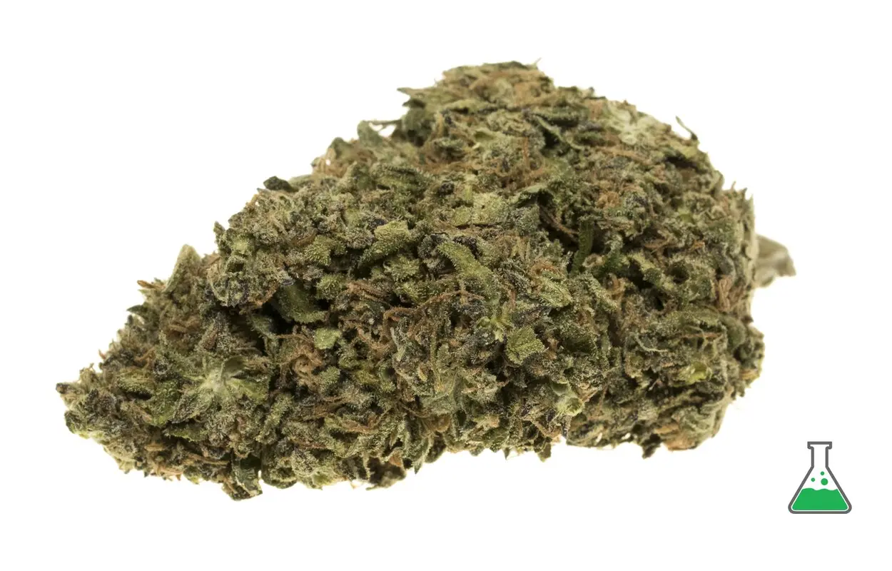 La marihuana vuelve a atascar la logística policial en Cataluña