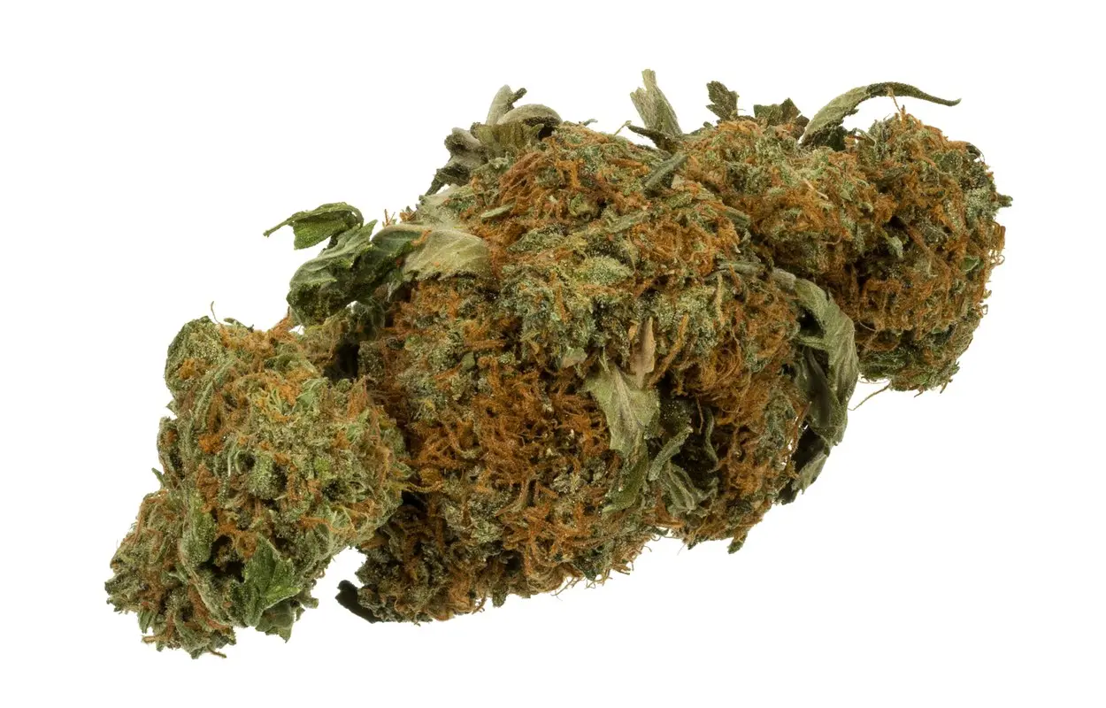 Panamá concreta el acceso en farmacias al cannabis medicinal