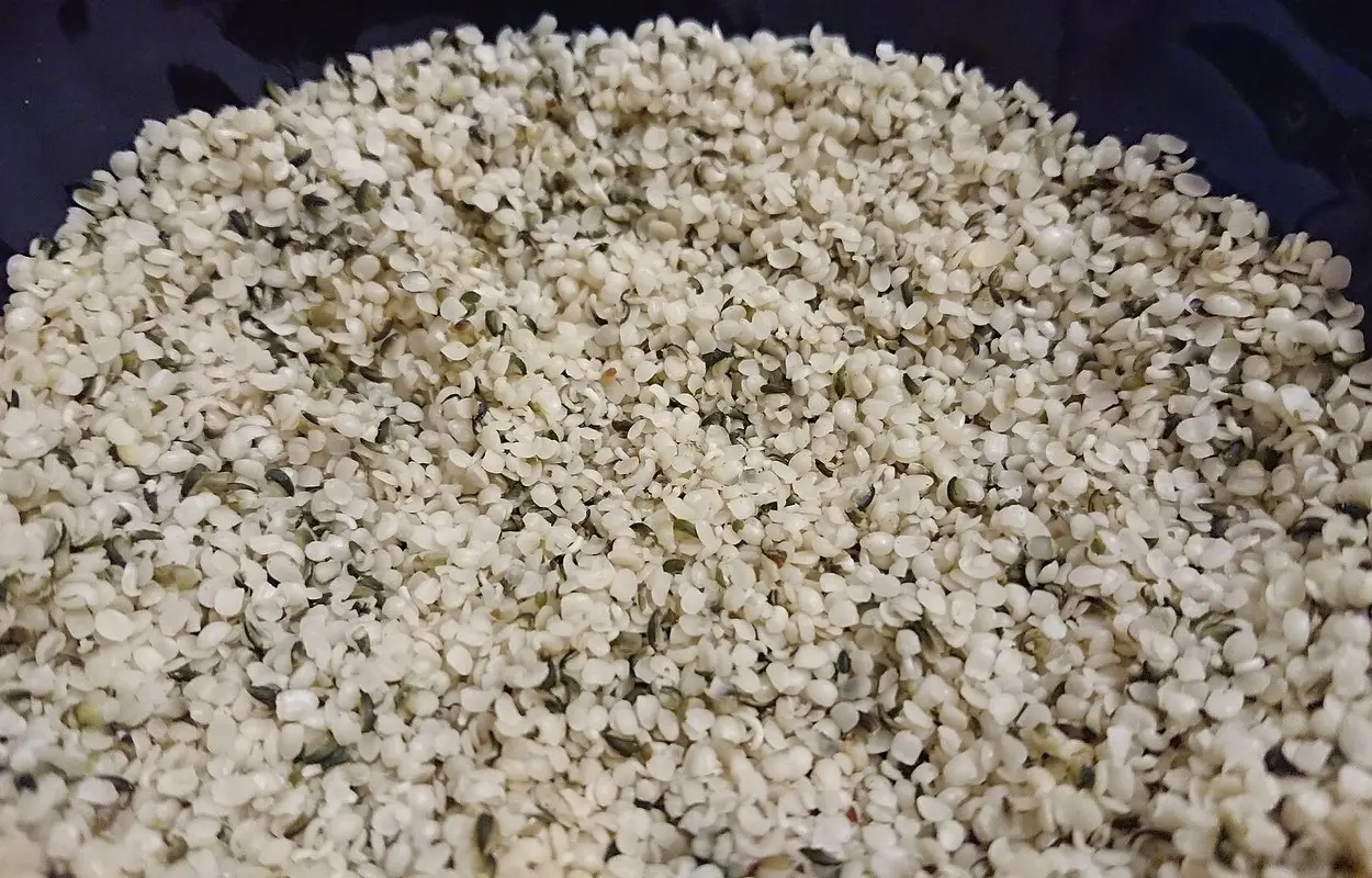La UE fija límites de THC para infusiones de cáñamo
