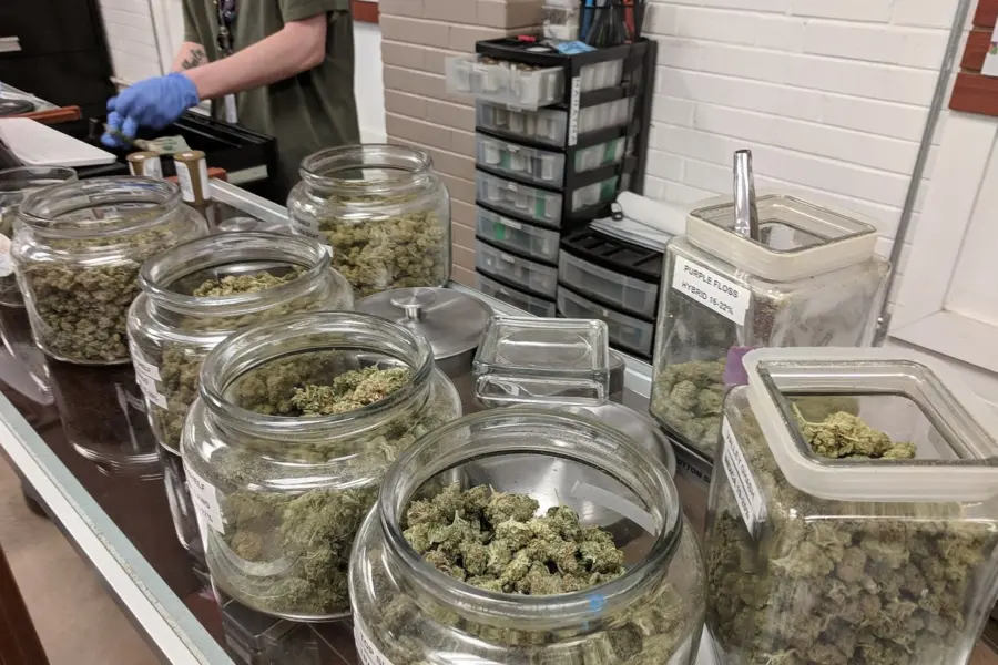 Uruguay actualiza el precio del cannabis regulado en farmacias