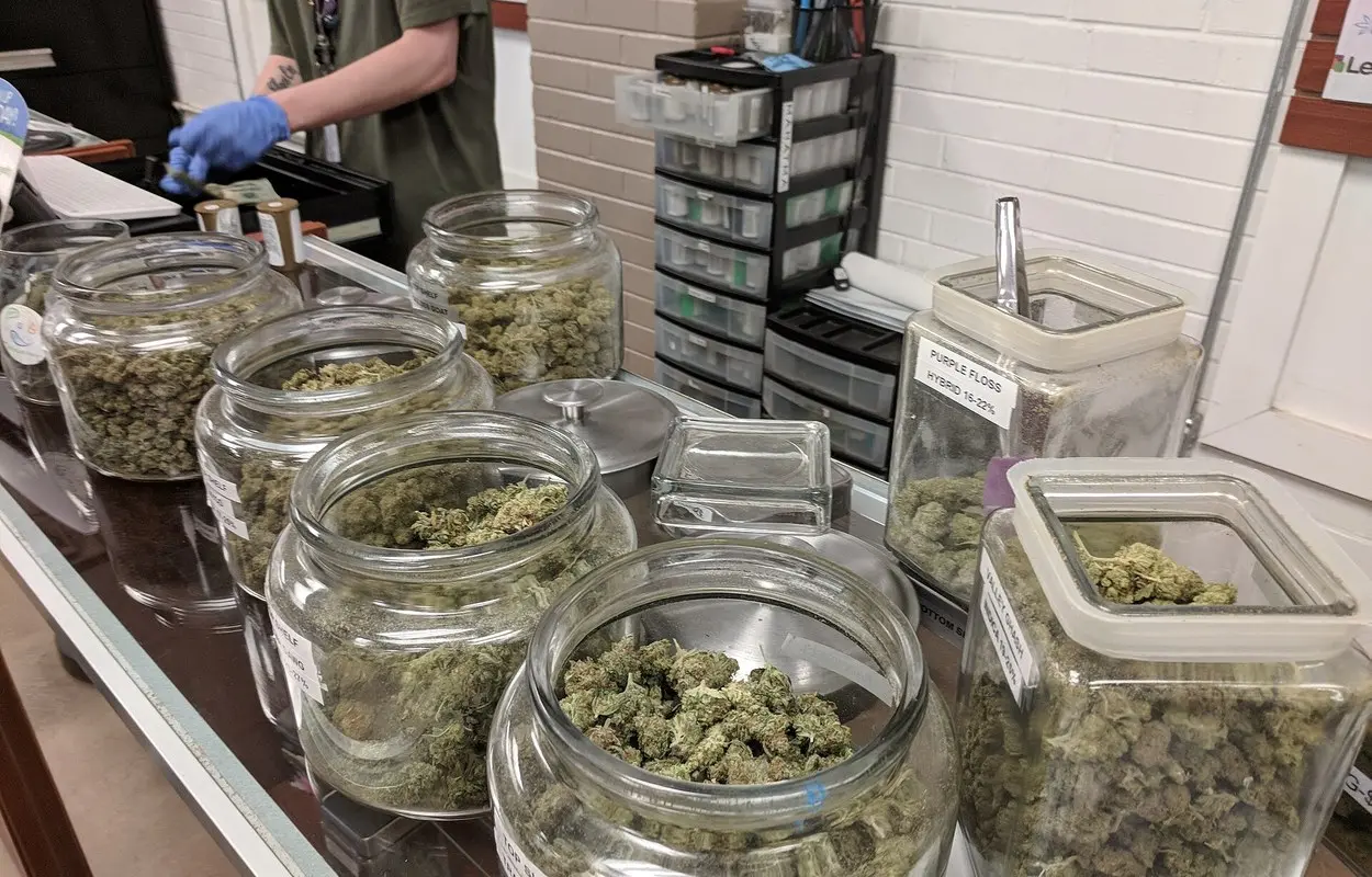 Uruguay actualiza el precio del cannabis regulado en farmacias