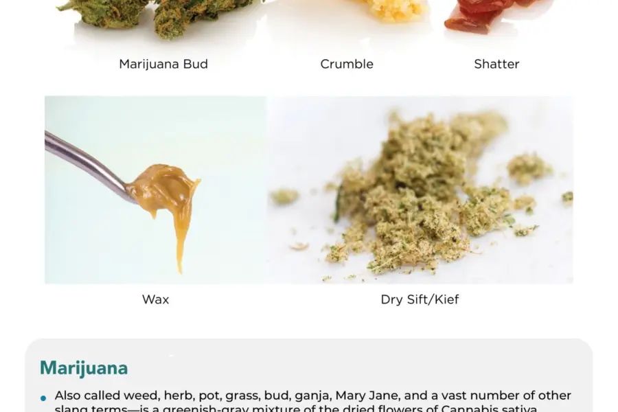 El CBD obliga a hablar de información clara cuando se combina con THC
