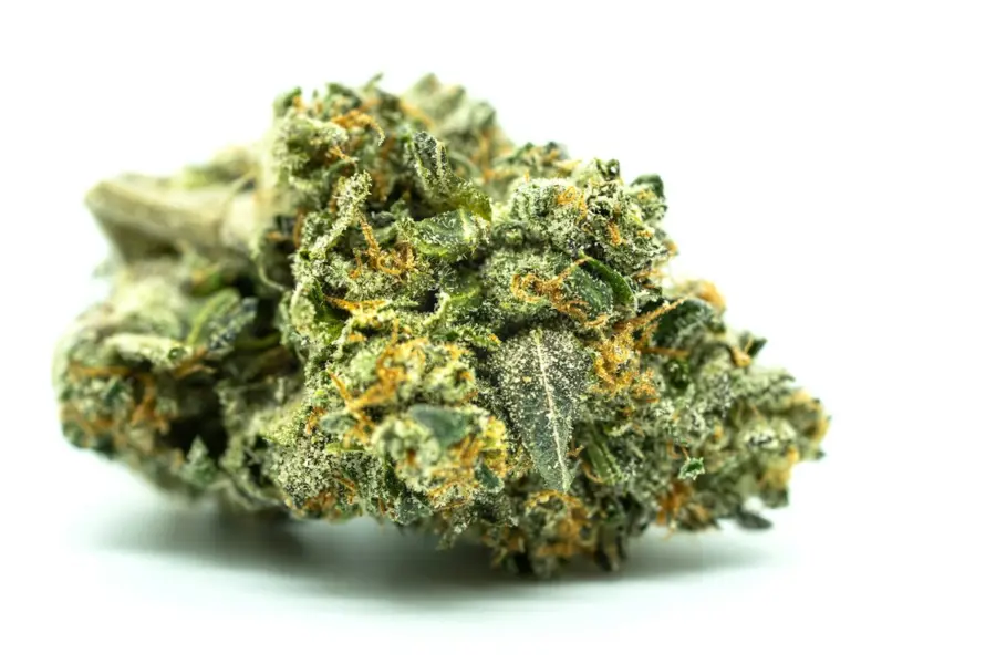 Costa Rica abre un laboratorio para fabricar cannabis medicinal