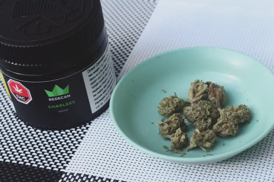 Madrid lleva el cannabis medicinal a formación clínica pública