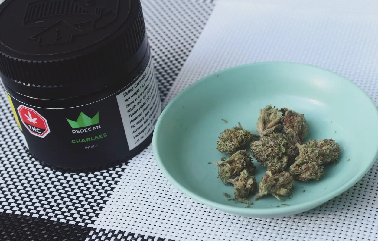 Madrid lleva el cannabis medicinal a formación clínica pública