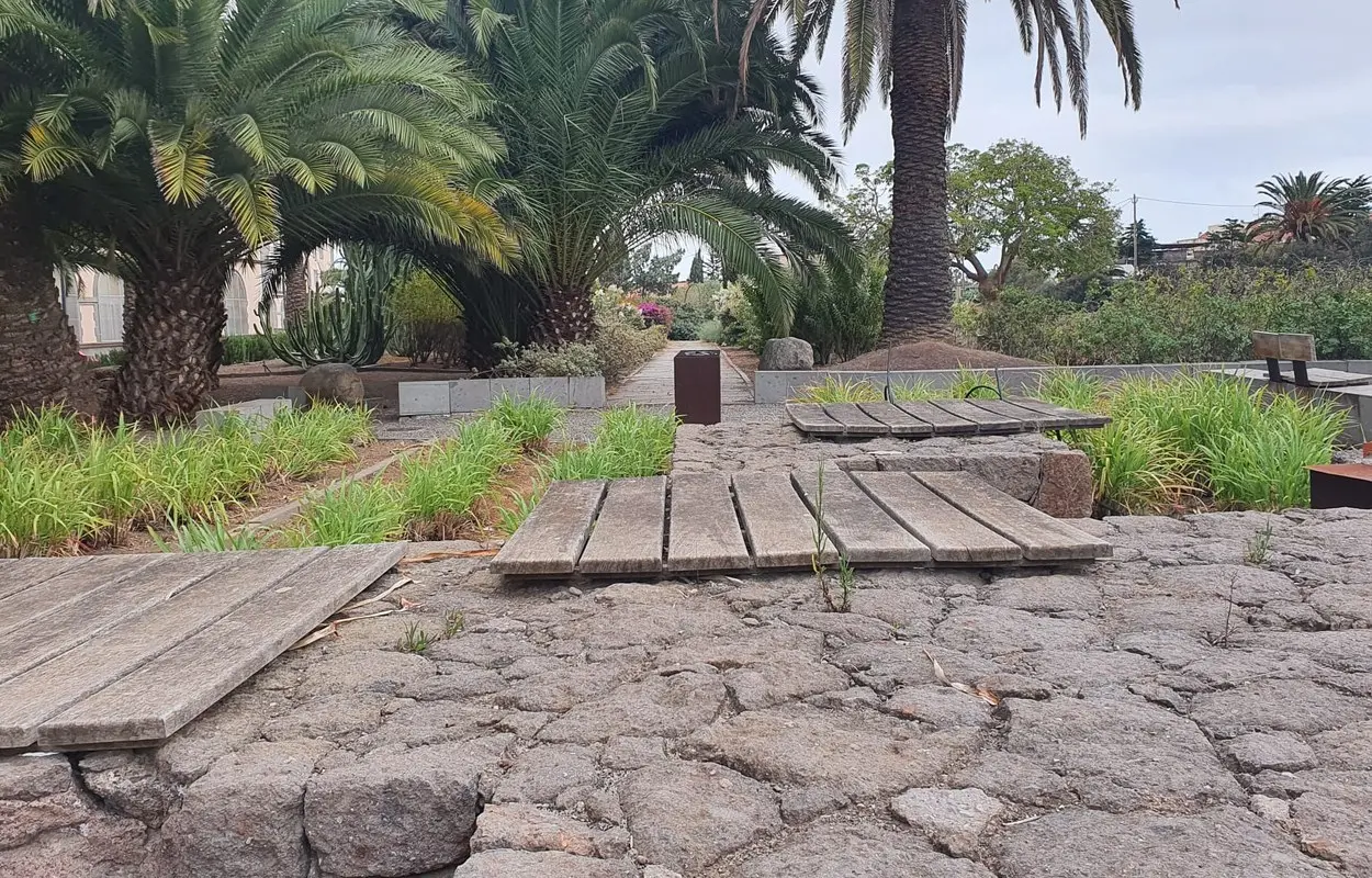 Jardines con palmeras y pasarelas de madera en un campus de la Universidad de Las Palmas de Gran Canaria