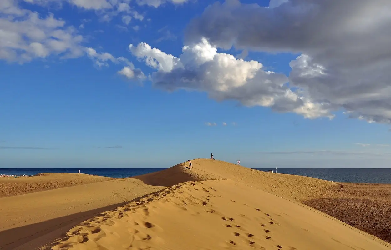 Dunas de Maspalomas, en el sur de Gran Canaria, con vegetación y el mar al fondo