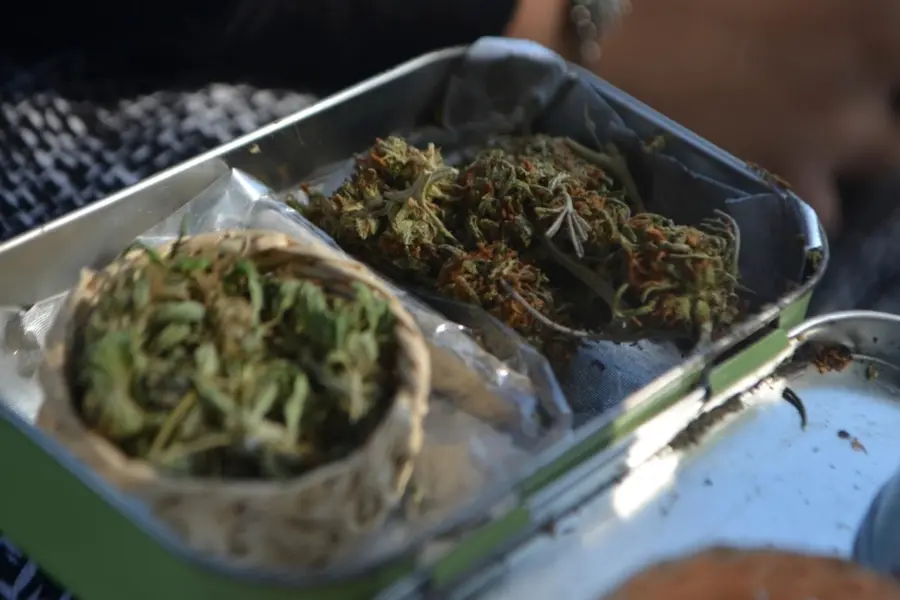 La UE fija limites de THC para las infusiones de canamo