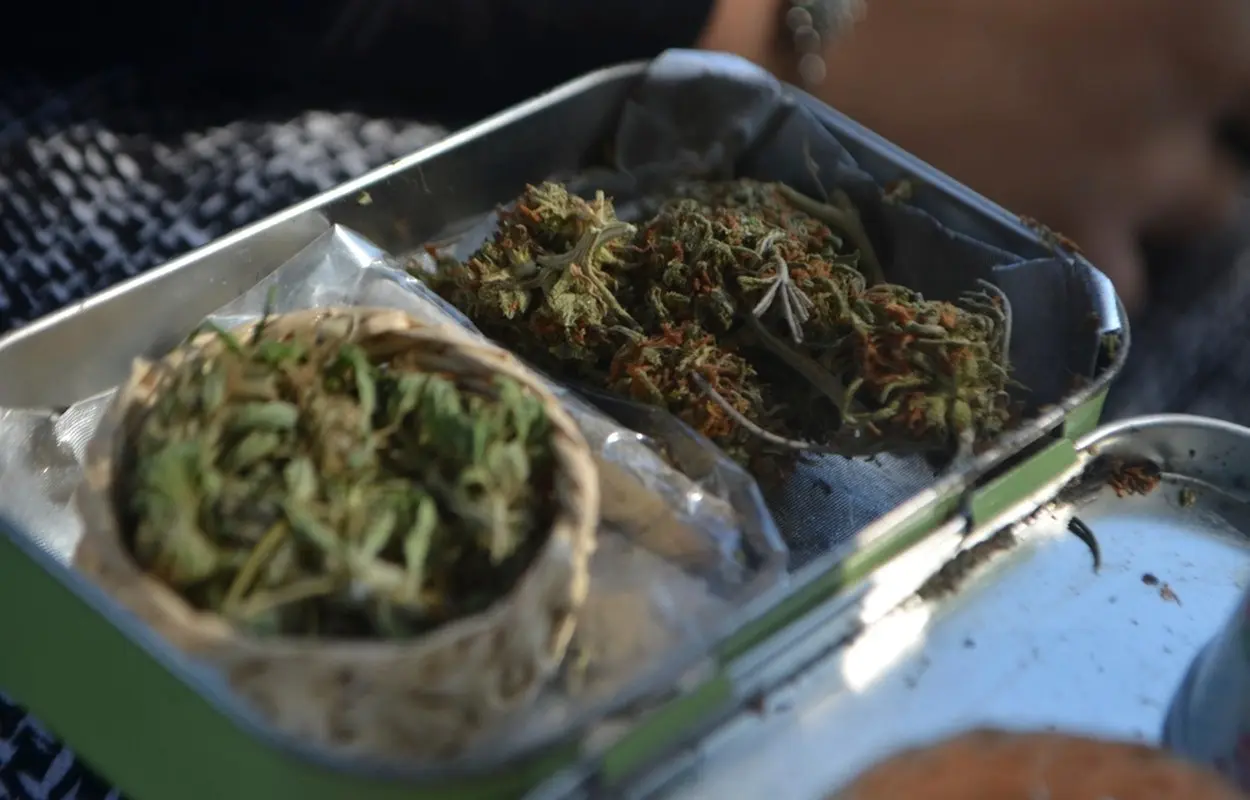La UE fija limites de THC para las infusiones de canamo
